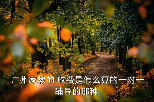 广州舞蹈一对一收费,广州艺术学校是专业舞蹈学校收费不便宜