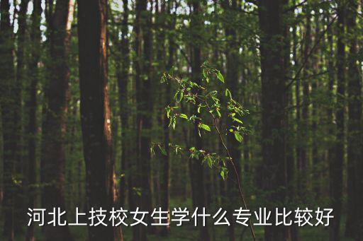 石家庄 幼儿舞蹈,选择学西点的理由（一）