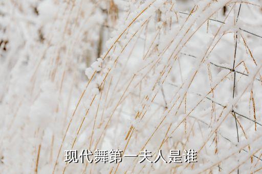 现代舞第一夫人是谁
