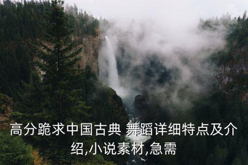 中国好舞蹈服装,新疆最好设计和工艺打造冰上冬奥会保障服装