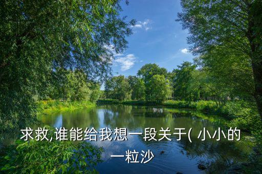 求救,谁能给我想一段关于( 小小的 一粒沙