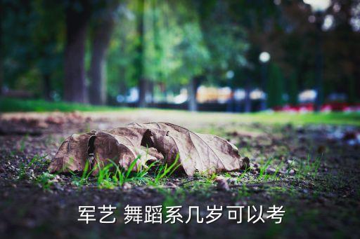 军艺舞星舞蹈培训学校,专业学位授权点名单出炉北京舞蹈学院