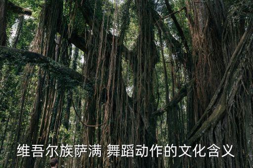 维吾尔族萨满 舞蹈动作的文化含义