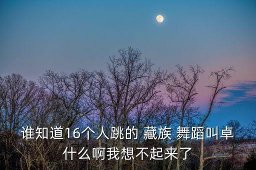谁知道16个人跳的 藏族 舞蹈叫卓什么啊我想不起来了