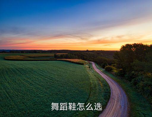  舞蹈鞋怎么选