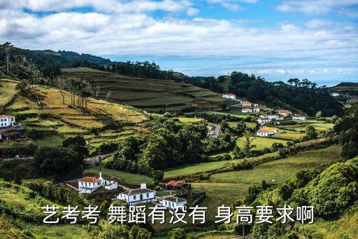 高考舞蹈对身高要求吗,舞蹈学生的身材和身高有一定的标准