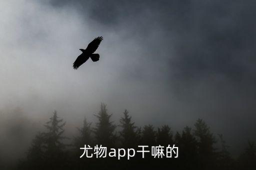 尤物app干嘛的