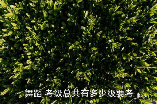 三级考级舞蹈长辫子,中国舞蹈考级教孩子步骤: