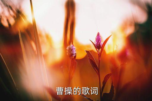 曹操舞蹈视频教程,曹冲死后曹丕找人暗杀曹操:他也很喜欢他
