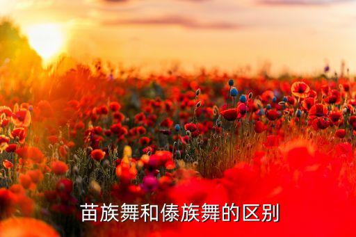  苗族舞和傣族舞的区别