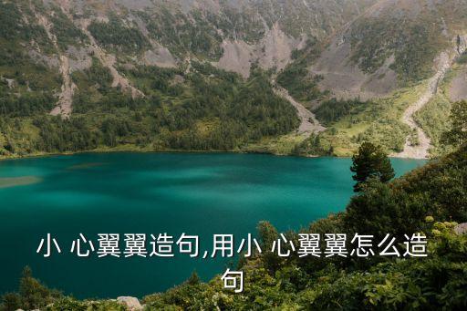 小 心翼翼造句,用小 心翼翼怎么造句