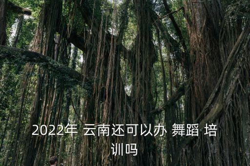 2022年 云南还可以办 舞蹈 培训吗