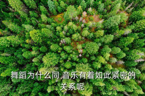 舞蹈与音乐,舞蹈和音乐哪个就业前景好?