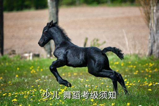 少儿 舞蹈考级须知