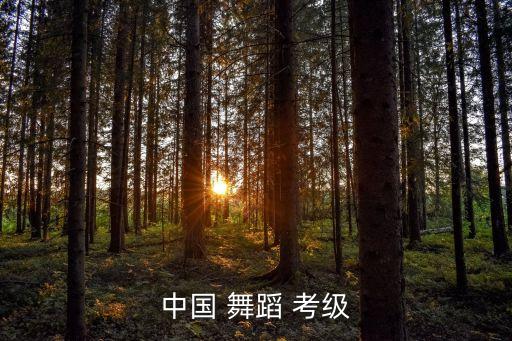 中国舞舞蹈考级曲目5级,香港中学生艺术团体舞蹈考级成绩下滑