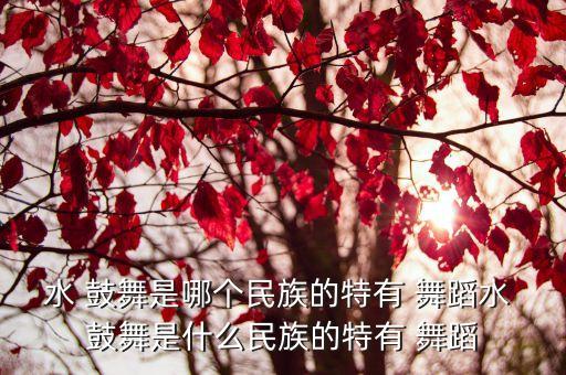舞蹈鼓舞,羊皮鼓舞是苗族传统舞蹈