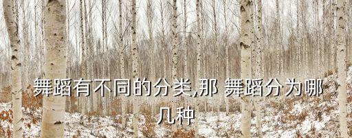 舞蹈生集体艺术照,中国大妈跳起广场舞来庆祝新年