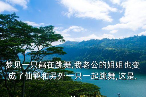 梦见一只鹤在跳舞,我老公的姐姐也变成了仙鹤和另外一只一起跳舞,这是...
