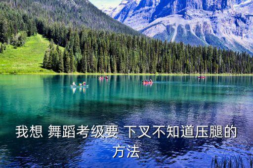 我想 舞蹈考级要 下叉不知道压腿的方法