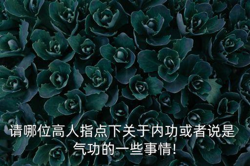 请哪位高人指点下关于内功或者说是 气功的一些事情!