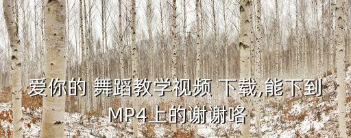 爱你的 舞蹈教学视频 下载,能下到 MP4上的谢谢咯