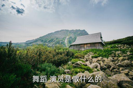  舞蹈 演员是做什么的