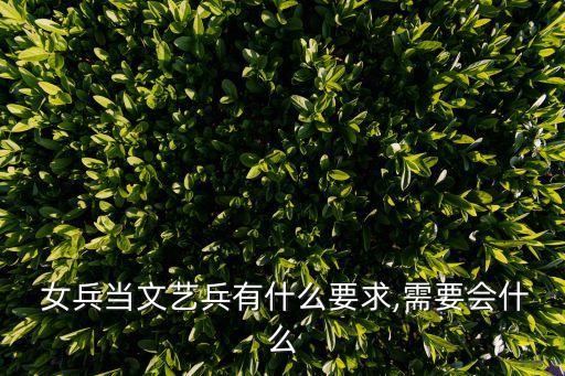  女兵当文艺兵有什么要求,需要会什么