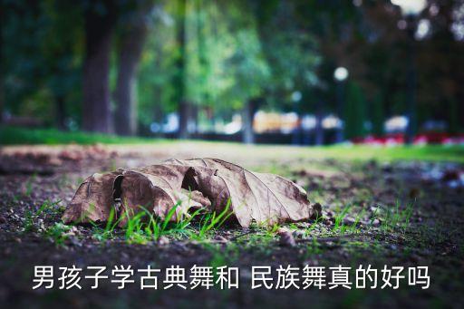 舞蹈视频男生跳民族舞,我和你一样希望被选中成为大选候选人