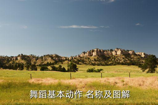  舞蹈基本动作 名称及图解