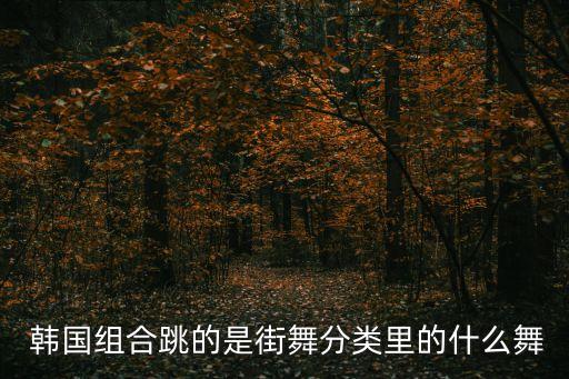  韩国组合跳的是街舞分类里的什么舞