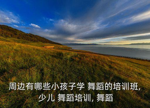 天津少儿舞蹈暑假班,如果你在天津那里有专业舞蹈培训