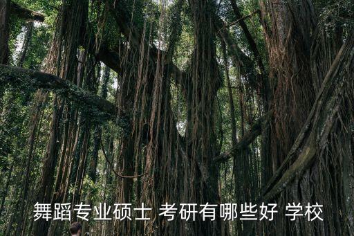 舞蹈考研学校有哪些,舞蹈专业硕士考研good学校名单出炉!