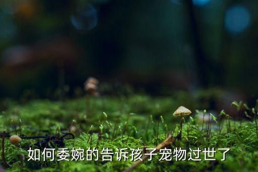 小小世界幼儿舞蹈,如何教育孩子以平常心看待生命的消逝?