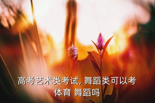  高考艺术类考试, 舞蹈类可以考 体育 舞蹈吗