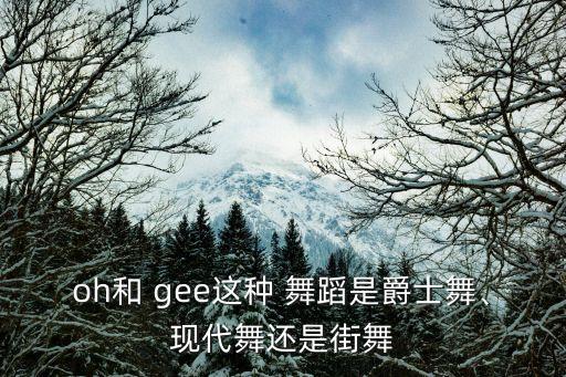 oh和 gee这种 舞蹈是爵士舞、现代舞还是街舞
