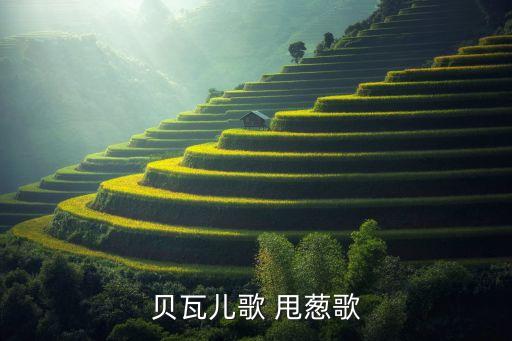 舞蹈甩葱歌视频,甩葱歌日文歌词毫无意义
