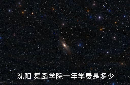 沈阳舞蹈教学,沈阳音乐学院舞蹈学院培训班开学