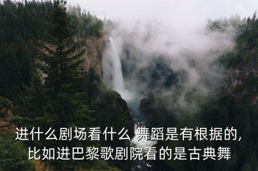 进什么剧场看什么 舞蹈是有根据的,比如进巴黎歌剧院看的是古典舞