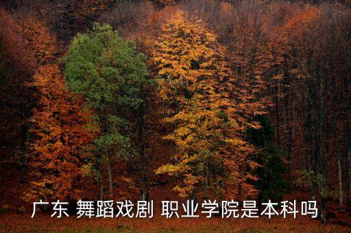 广东 舞蹈戏剧 职业学院是本科吗
