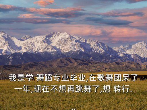 我是学 舞蹈专业毕业,在歌舞团呆了一年,现在不想再跳舞了,想 转行...