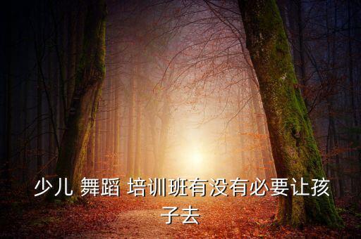  少儿 舞蹈 培训班有没有必要让孩子去