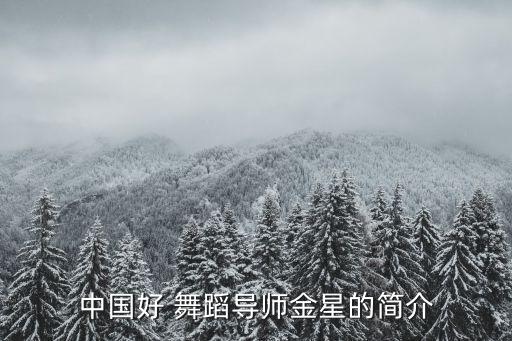 中国好舞蹈男子现代舞个人独舞,中国最杰出现代舞女舞者金星