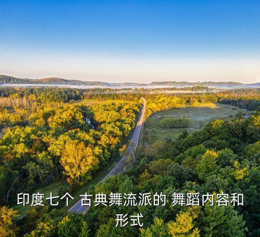 印度七个 古典舞流派的 舞蹈内容和形式