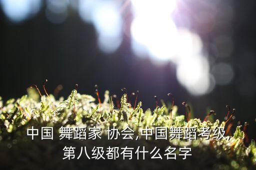 中国舞蹈家协会识字歌歌词,中国舞蹈等级考试网上报名参加