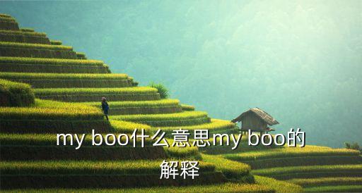my boo什么意思my boo的解释