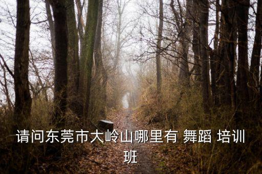 la舞蹈培训班,西安舞蹈学院春假班开班计划:第三天开班