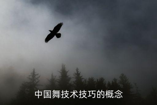 中国舞技术技巧的概念