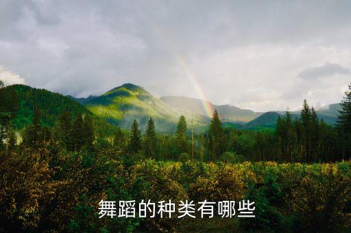 大型野外舞蹈,art舞蹈高度提炼舞蹈语言和技巧