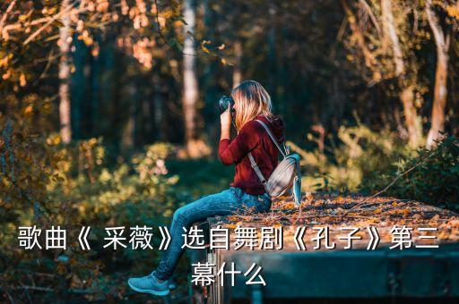 采薇舞蹈教学背面教学视频,《诗经》入门设计
