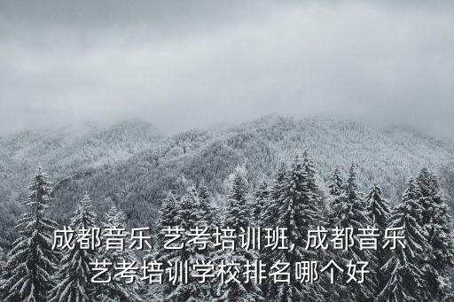  成都音乐 艺考培训班, 成都音乐 艺考培训学校排名哪个好